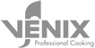 Venix Logo